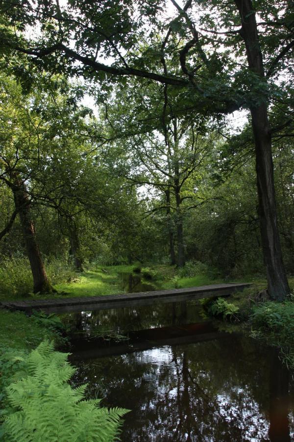 Vakantiehuis Appelvink, Toplocatie In Bosrijke Omgeving Oisterwijk Eksteriør billede