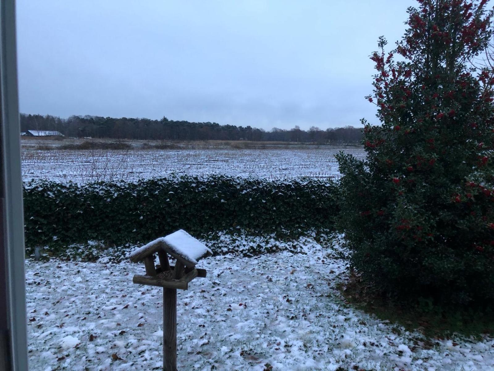 Vakantiehuis Appelvink, Toplocatie In Bosrijke Omgeving Oisterwijk Eksteriør billede